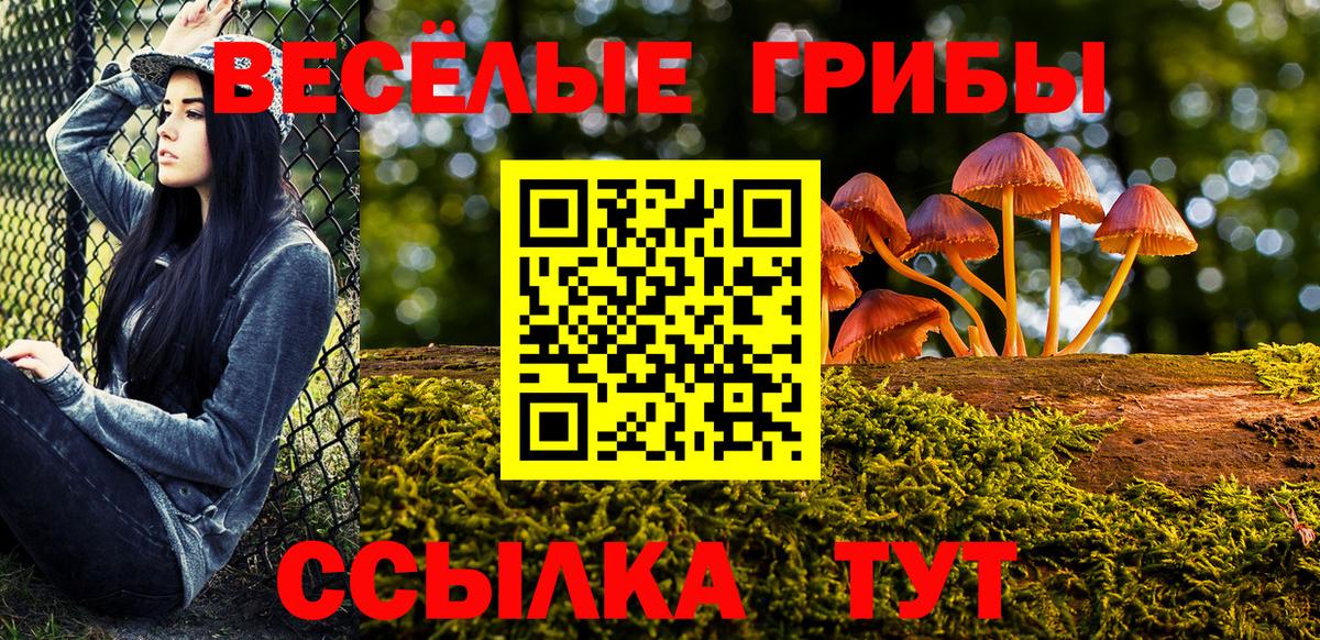 Галлюциногенные грибы Psilocybe  цена   Вход с VPN  Чусовой  Псилоцибиновые грибы мухоморы 