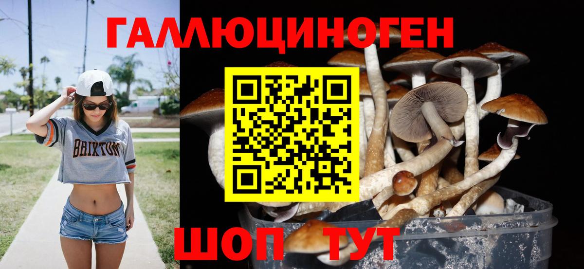 Галлюциногенные грибы мицелий Чусовой